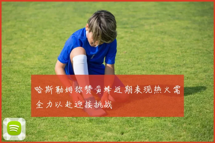 哈斯勒姆称赞黄蜂近期表现热火需全力以赴迎接挑战